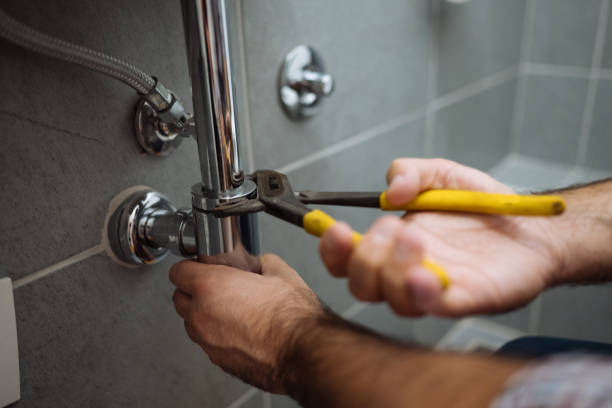 Best Plumbing Repair Near Me  in French Mp, CA